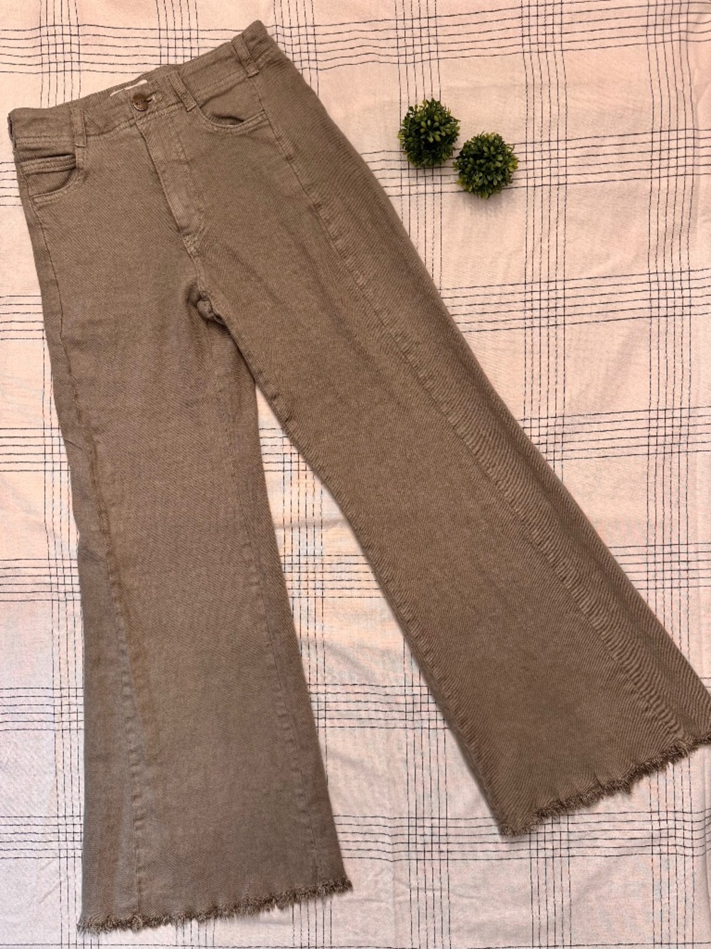 Anthropologie Pilcro James Taupe Wide Leg Pants I Size 25